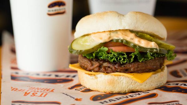 Ron Harvey　 　吉鶏 Harvey & Company Ltd. Corner Brook | Corner Brook NL