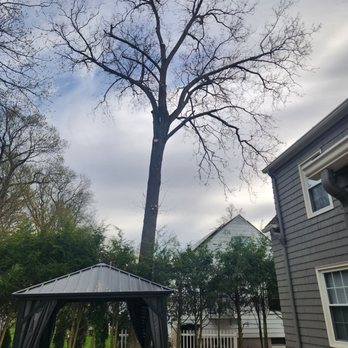 K&J Tree Service - Tree Services Near Me - Hamden, Connecticut