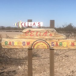 Celia's Rainbow Garden