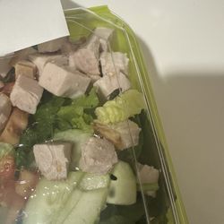 Fly inside my salad