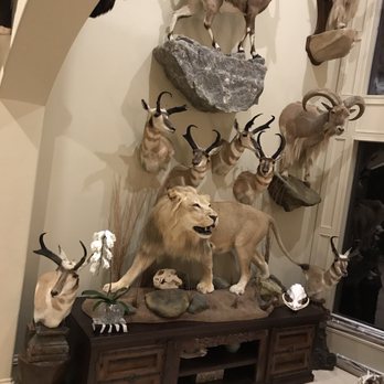 Far Pavilions - Home Decor Near Me - Katy, Texas
