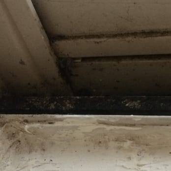 Bradford Run Apartments - Nasty window with dirt and bugs in the ledges - Apartments Near Me - Kokomo, Indiana