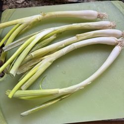 Farmers Food Market - Green Onions
