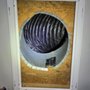 Breathe Easy Mold Remediation