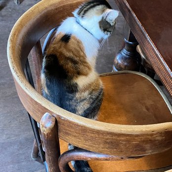 Eik en Linde - Cafes Near Me - Amsterdam, New Hampshire