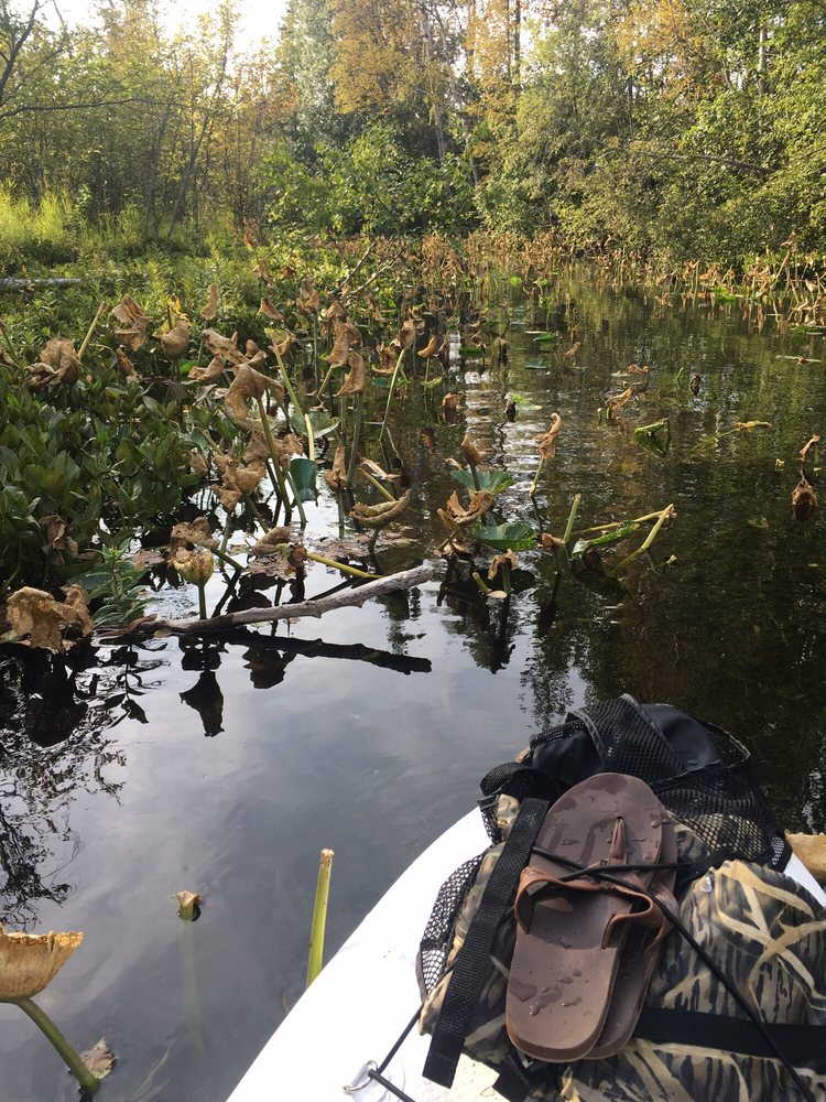 SEVEN MILE CANOE TRAIL Updated September 2024 Palmer, Alaska