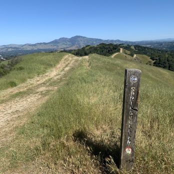 Briones Regional Park - Parks Near Me - Martinez, California Briones Regional Park - Parks Near Me - Martinez, California