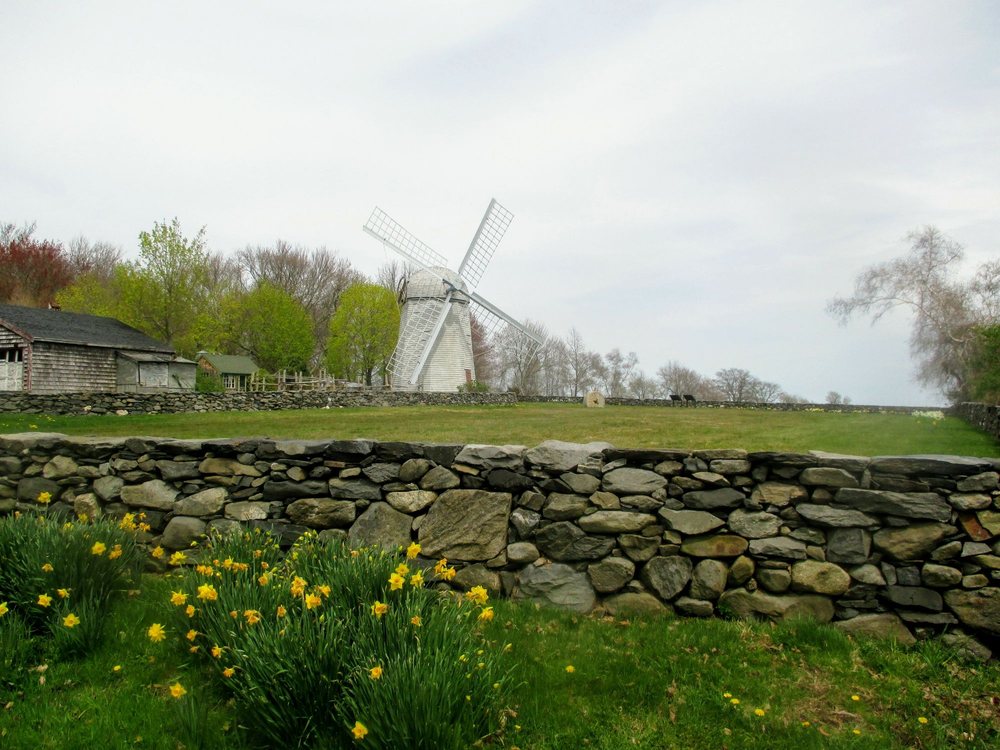 Windmill Hill Logo