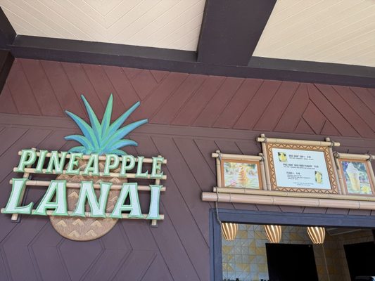 Pineapple Lanai by null