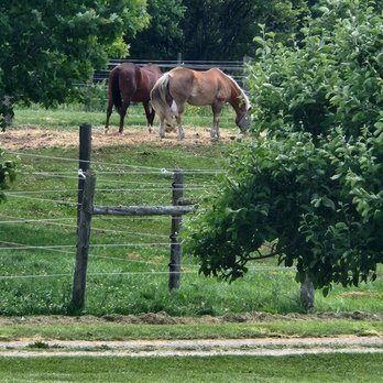 Windreach Farm - Farms Near Me - Ashburn, Ontario Windreach Farm - Farms Near Me - Ashburn, Ontario