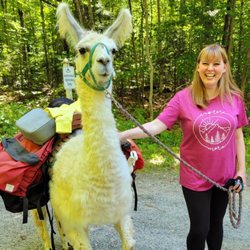 Northern Vermont Llama & Christmas Tree Farm - Scout and my friend.