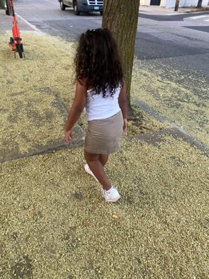 Only One Jamaican Restaurant by null