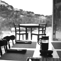 The Lotus - Morning at the Lotus