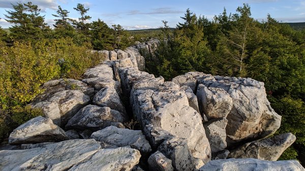 Dolly Sods Wilderness by null