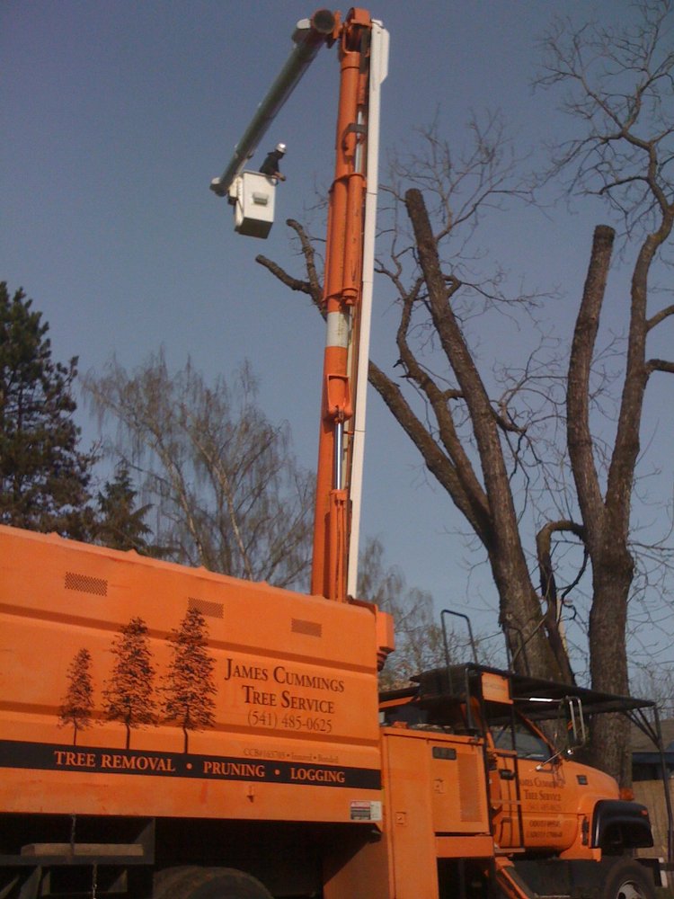 James Cummings Tree Service - tree service in Eugene, OR