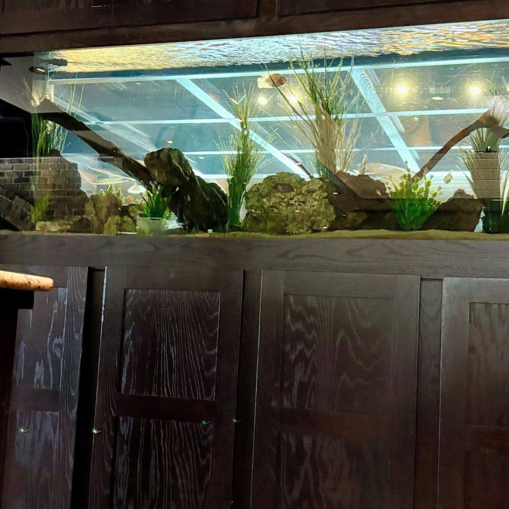 Fish Tank