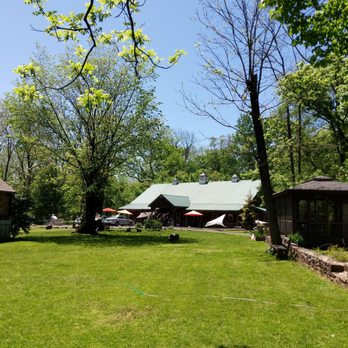 Ross Mill Farm - Back lawn for pig grazing - Pet Adoption Near Me - Rushland, Pennsylvania Ross Mill Farm - Back lawn for pig grazing - Pet Adoption Near Me - Rushland, Pennsylvania