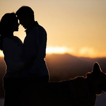 Ambient Leaf Photography - Event Photography Near Me
