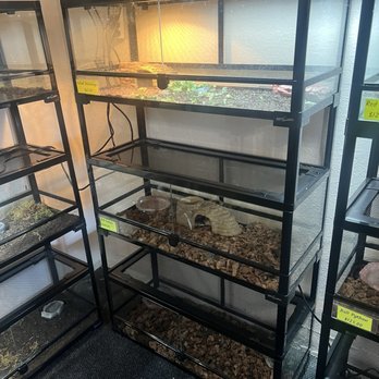 Pet Shack - Pet Stores Near Me - Tehachapi, California
