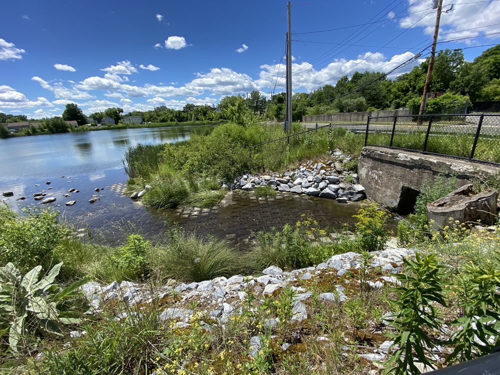 SILVER LAKE Updated October 2024 Pittsfield, Massachusetts Lakes