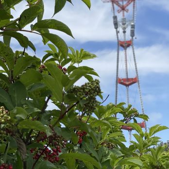 Sutro Tower - Landmarks & Historical Buildings Near Me - San Francisco, California