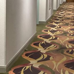 Mouse at Wyndham Hotel