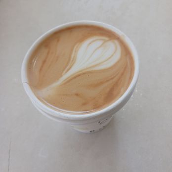 Sleepy Seal Coffee - Flat white - Coffee & Tea Near Me - Redondo Beach, California Sleepy Seal Coffee - Flat white - Coffee & Tea Near Me - Redondo Beach, California