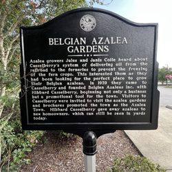 Belgian Azalea Gardens