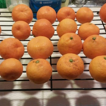 Goleta Farmer's Market - Mandarin orange - Farmers Market Near Me - Goleta, California