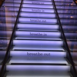 Lululemon Athletica - Stairs