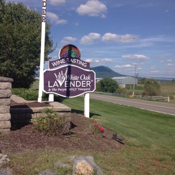 Purple Wolf Vineyard - Wine Tasting Room Near Me - Harrisonburg, Virginia Purple Wolf Vineyard - Wine Tasting Room Near Me - Harrisonburg, Virginia