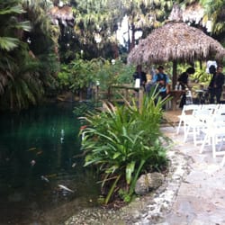 Jungle B's Landscapes - Koi pond area
