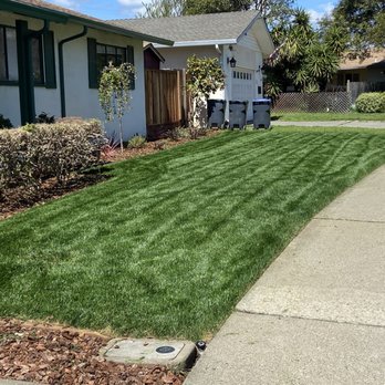 Eco Scapes Landcare Solutions - Lawn Services Near Me Eco Scapes Landcare Solutions - Lawn Services Near Me