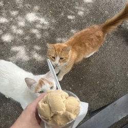 Espresso ice cream