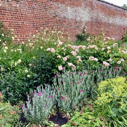 Wimpole Hall - Wimpole Hall Walled Garden