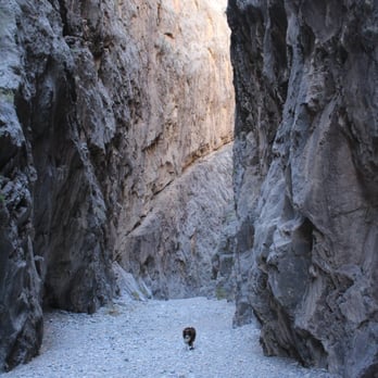 Arrow Canyon - The slot canyon - Hiking Near Me