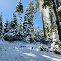 Goat Meadow Snow Play Area - 2025 Mar 7