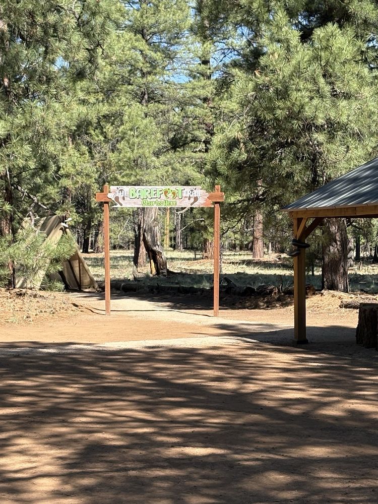 The Barefoot Trail Logo