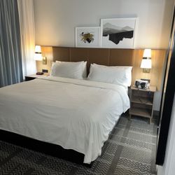 Staybridge Suites Quantico - Bed
