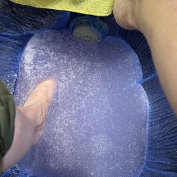 Jelly Jelly