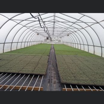Herr Farms - Pick Your Own Farms Near Me - Lowell, Indiana Herr Farms - Pick Your Own Farms Near Me - Lowell, Indiana