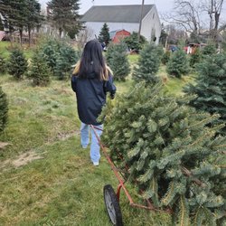 Stevens Tree Farm