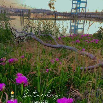 The Sardine Can - Stunning views - Seafood Near Me - Vallejo, California The Sardine Can - Stunning views - Seafood Near Me - Vallejo, California