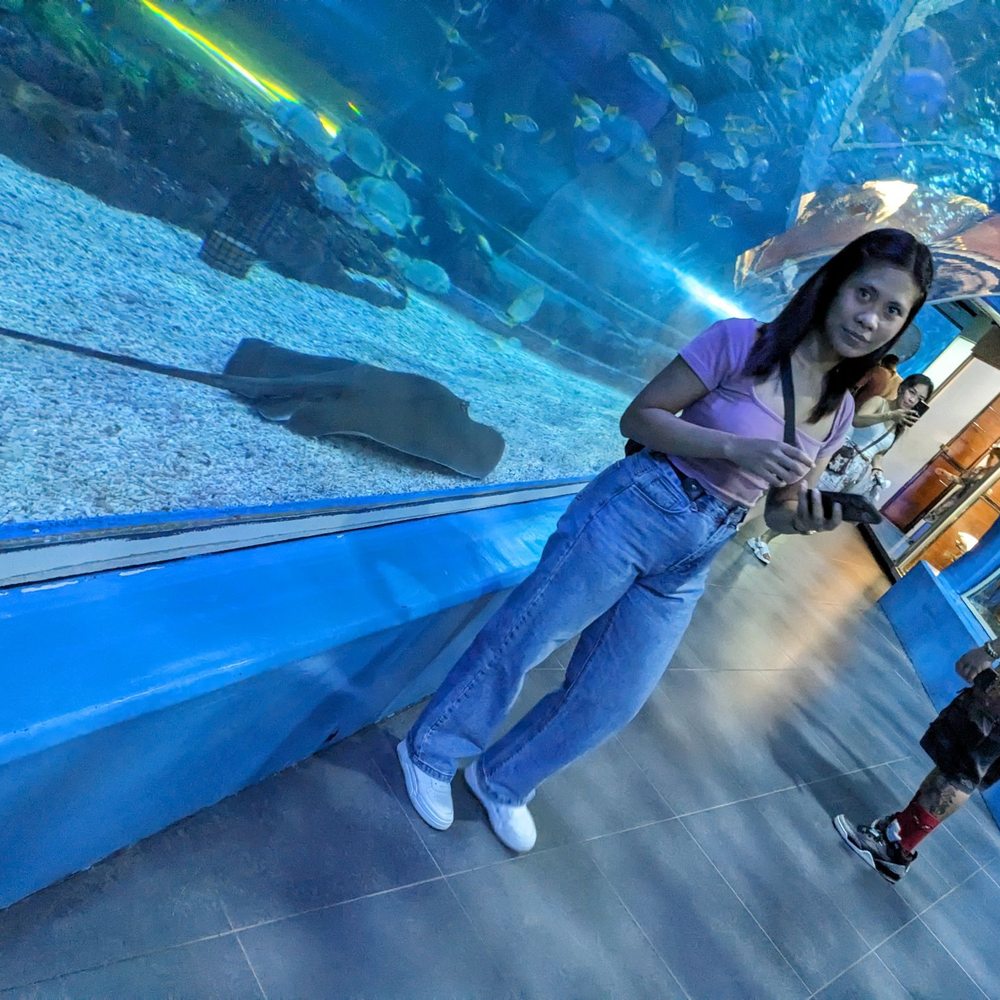 Manila Ocean Park - Aquariums Near Me - Manila, NCR Manila Ocean Park - Aquariums Near Me - Manila, NCR