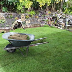 Turf Hawaii