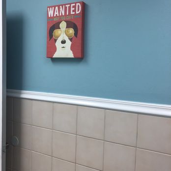 Westwood Veterinary Clinic - Veterinarians Near Me - Miami, Florida