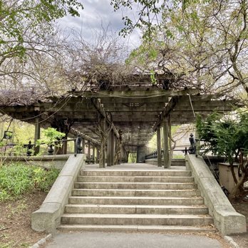 Wisteria Pergola - Another side at the other end.  05/12/21 - Parks Near Me - New York, New York