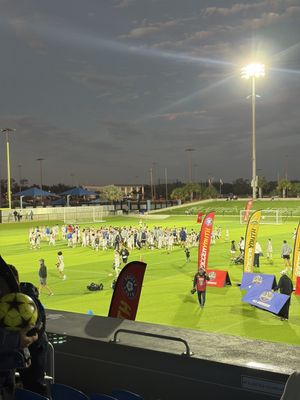 Paradise Coast Sports Complex by null