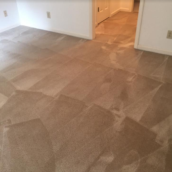 Absolute Clean Carpet & Upholstery - Carpet Cleaning Near Me - High Point, North Carolina Absolute Clean Carpet & Upholstery - Carpet Cleaning Near Me - High Point, North Carolina