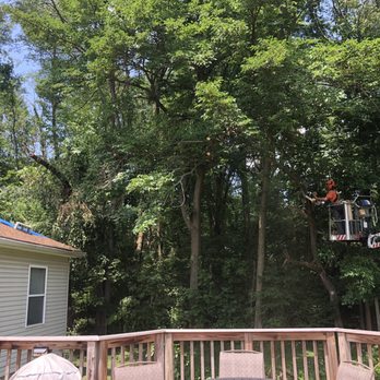 Del-Mar Tree Service - Trimming/cutting trees that fell on our house in storm - Tree Services Near Me - East Liberty, Ohio Del-Mar Tree Service - Trimming/cutting trees that fell on our house in storm - Tree Services Near Me - East Liberty, Ohio